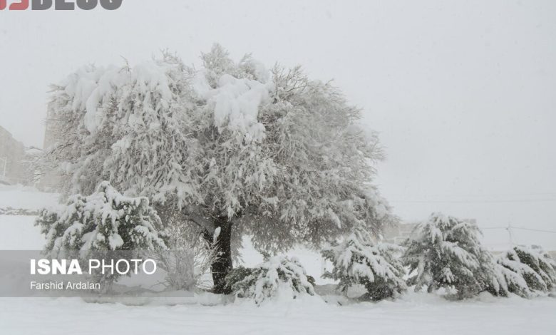بارش برف و باران در این ۲۲ استان از پنج‌شنبه ۷ بهمن ۱۴۰۰ – بلاگی ها