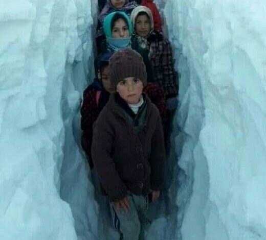 مردم برای عبور از برف در کردستان تونل زده‌اند! / عکس – بلاگی ها