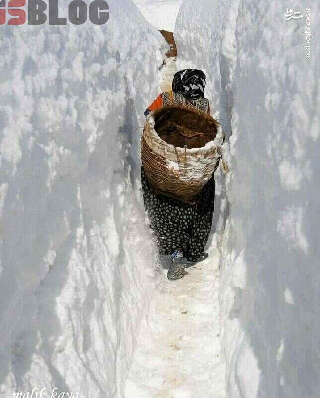 مردم برای عبور از برف در کردستان تونل زده‌اند! / عکس