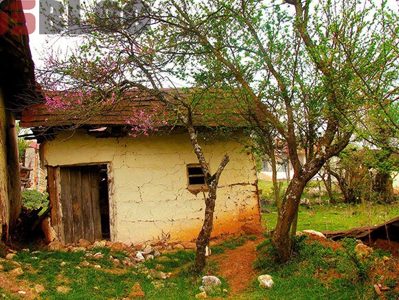 پاشاکلا روستایی در دل طبیعت ساری – بلاگی ها