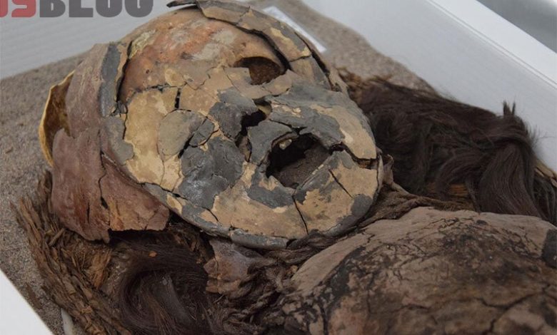 رونمایی از قدیمی‌ترین مومیایی‌ کشف شده تاریخ با قدمت ۸ هزار سال / فیلم – بلاگی ها