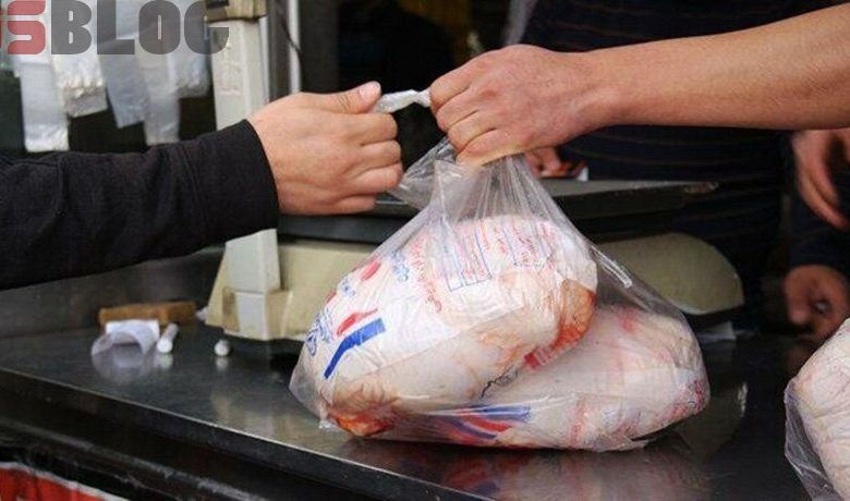 یارانه جدید دولت برای خرید مرغ + مبلغ – بلاگی ها