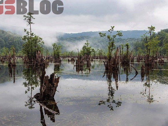 دریاچه‌ای خوف‌ناک در میان جنگل‌های مازندران – بلاگی ها