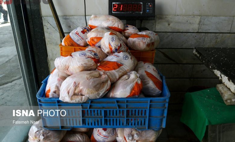 مرغ ۷ درصد گران شد / هر کیلو مرغ چند؟ – بلاگی ها