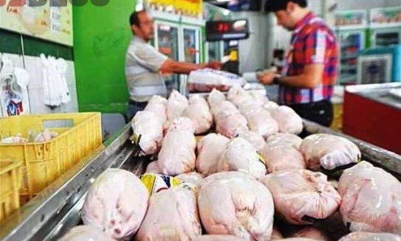 قیمت مرغ دوباره پر کشید | قیمت مرغ در بازار تهران + پنجشنبه ۲۱ مهر – بلاگی ها
