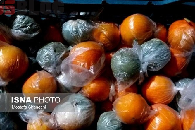 پرتقال‌ها با این رنگ را نخورید – بلاگی ها